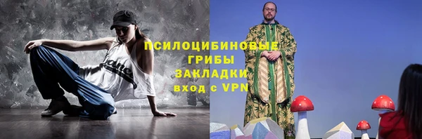 спиды Арсеньев