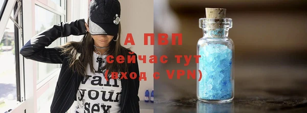 спиды Арсеньев