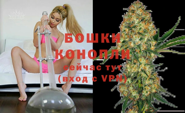 спиды Арсеньев